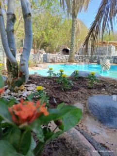 Shoka escape farm - 8