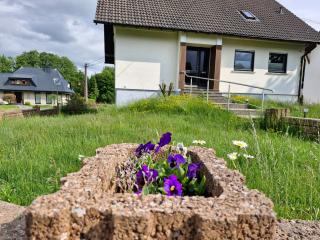 Michas Westerwald Ferienwohnungen - 9