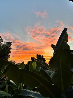 Casa finca platanales - 6