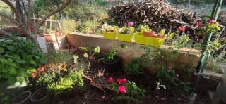 Apartments Vlado - 3