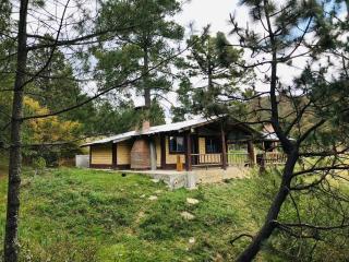 Cabañas La Moneda - 7