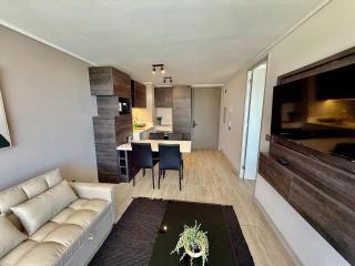 Moderno y Acogedor depto en Bosques de Montemar - 1