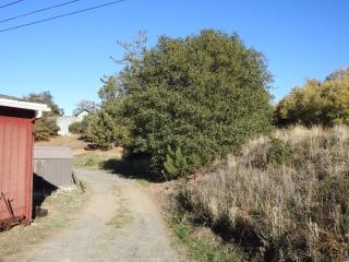 Historic Gold Town Loft A-Frame 1 Bedroom with sofa sleeper WIFI - 2