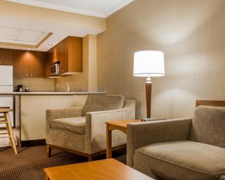 Clarion Hotel & Suites Riverfront - Oswego - 7