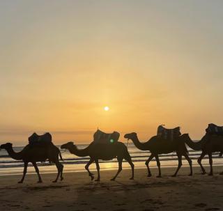 Beautiful view 3 beds in central neighborhood - Tanger - 3