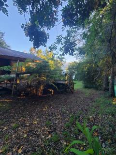 Cabaña Huenehue - Orilla de Lago - 9