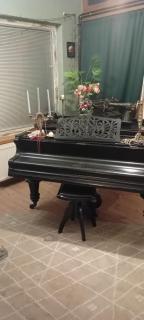 ROSE Resort, ROOM 40m2 for 4 guests, with terrace - 6