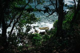 Le Diamant, 100m de la plage - 5