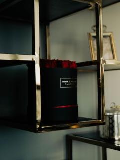 Sunset Penthouse Antwerp - 6