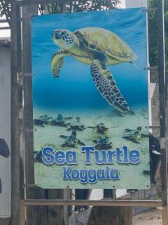 Villa Claudia Nimal's kitchen - 7