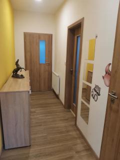 Large Apartment with terrace and big garden - 3