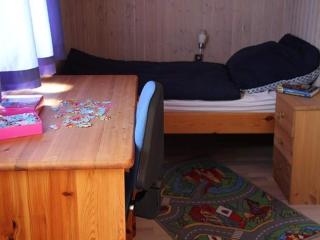 skandinavisches Ferienhaus in Mirow - 1