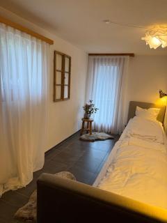 Apartment Val Biala - 1