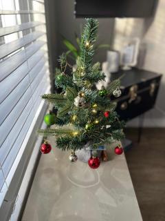 #StayinMyDistrict Historic Apartment Near Downtown - 9