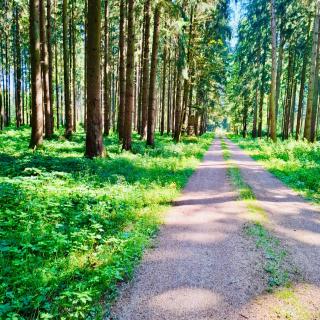 Erlebnisbad Badkap in 5 Minuten! - 8