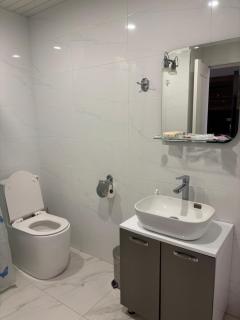 Alvina Complex s - 3