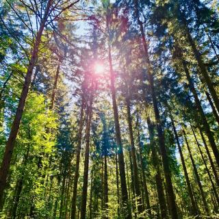 Erlebnisbad Badkap in 5 Minuten! - 7