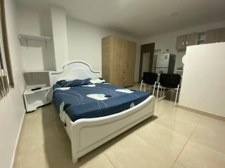 Sensacional Aparta estudio NUEVO en champagnat - 9