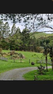 Mikimiki Valley Cottage near Tararua Park Trailhead - 6