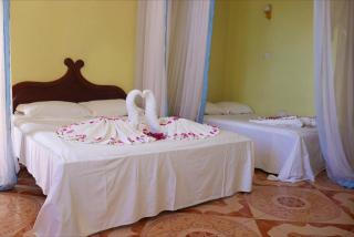 Haveton Hotel and Apartments - 2