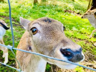 Panoramablick mit Premium-Wanderwegen vor der Haustür - 5