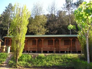 TAIGA Bassegoda Park - 3