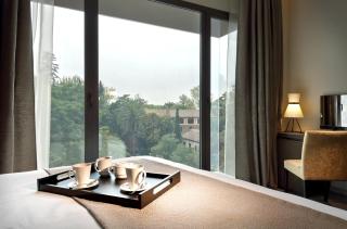 Áurea Washington Irving by Eurostars Hotel Company - Granada - 6