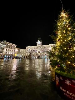 Suite Exclusive Room - 5