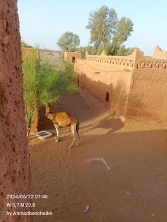 Daraa Valley House - 3