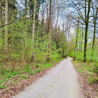 Erlebnisbad Badkap in 5 Minuten! - 5