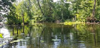 Altes Fischerhaus Zehdenick - Ferienhaus an der Havel - 7