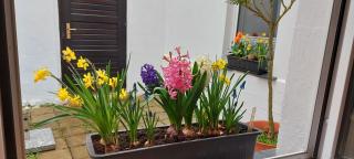 Altes Fischerhaus Zehdenick - Ferienhaus an der Havel - 8