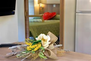 TAIGA Bassegoda Park - 2