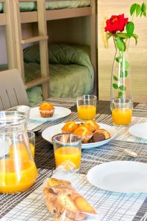 TAIGA Bassegoda Park - 1