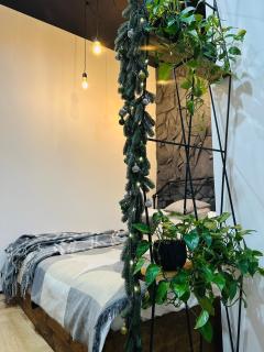 Lviv City Center Loft - 0