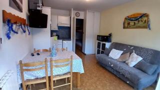 Appar T2 3 lits vue montagne terrasse vielle aure - 0