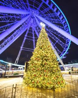 Your Montreal Home Base! Free parking Free Wifi - 1