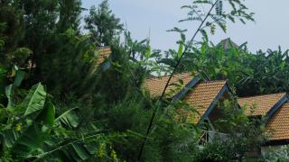 My Hill Eco Lodge - 4