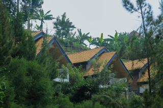 My Hill Eco Lodge - 3