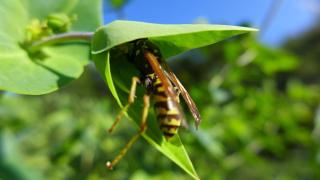 Vacation home with a view of nature, home theater, fireplace - 6