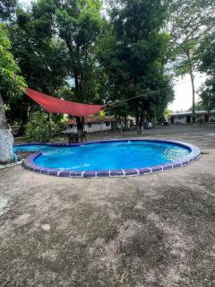 Sunzal Tropical 9 - 9