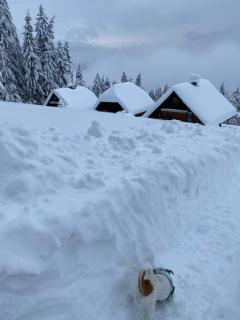 Private Forest Cabin with Epic View - 1