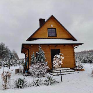 Jałowcowe Zacisze - 4