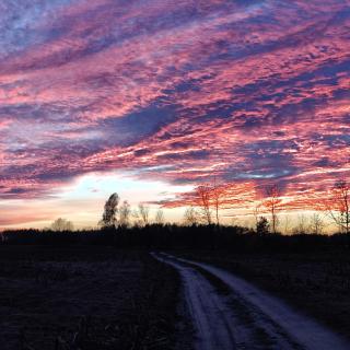 Jałowcowe Zacisze - 5