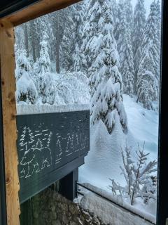 Vila Bašić Vlašić Spa Apartman JELEN - 7