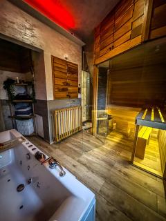 Vila Bašić Vlašić Spa Apartman JELEN - 6