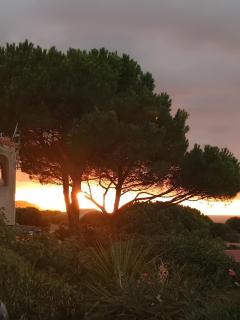 Marina de Sant Ambroggio - 1