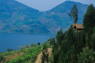 My Hill Eco Lodge - 2