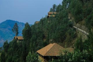 My Hill Eco Lodge - 4