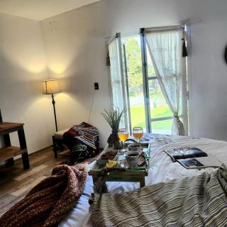 Quinta Las Moras, historias en la naturaleza - 0